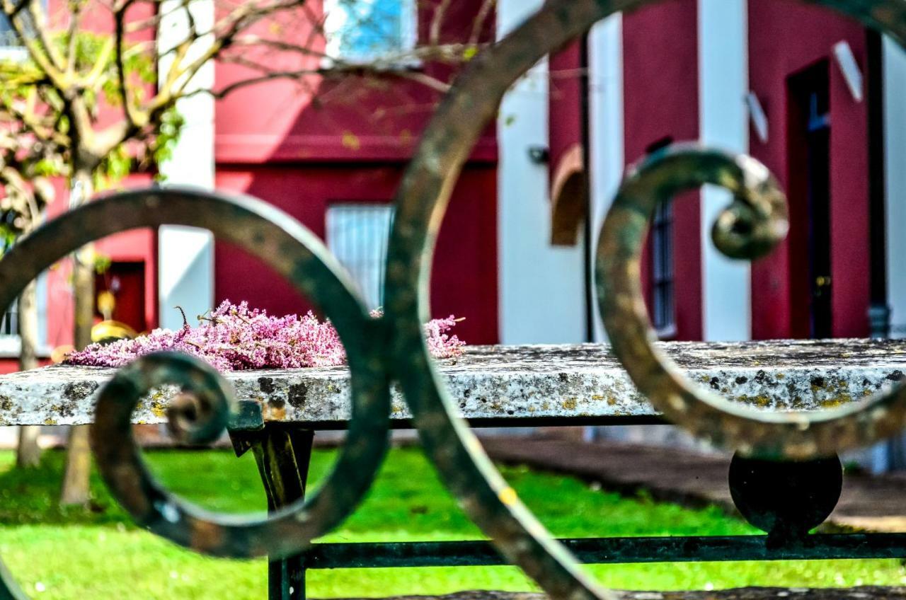 Agriturismo Tenuta Polledro Асті Екстер'єр фото